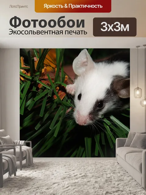 Фотообои Мышь