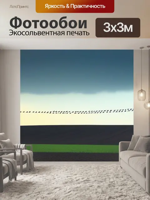 Фотообои чёрные вороны над пустым полем
