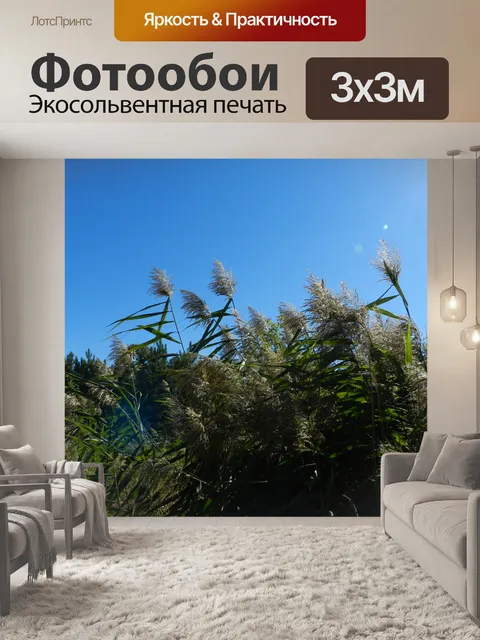 Фотообои В моем дворе № 7