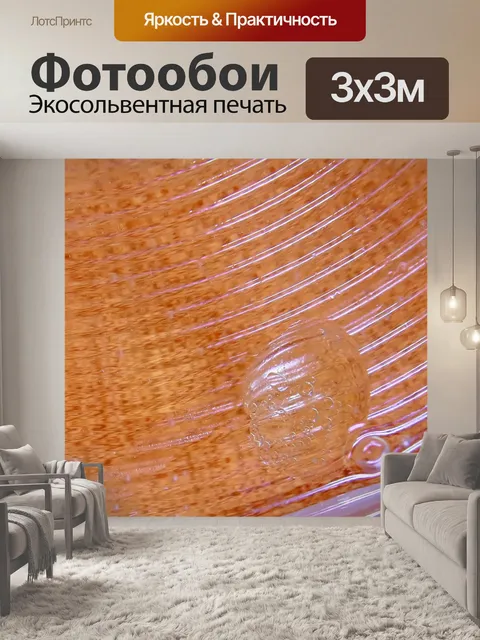 Фотообои Баннер Заголовок обои
