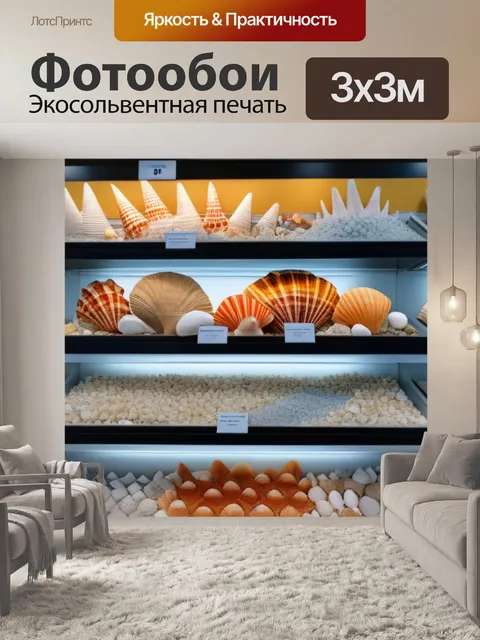 Фотообои разнообразие ракушек в витрине магазина