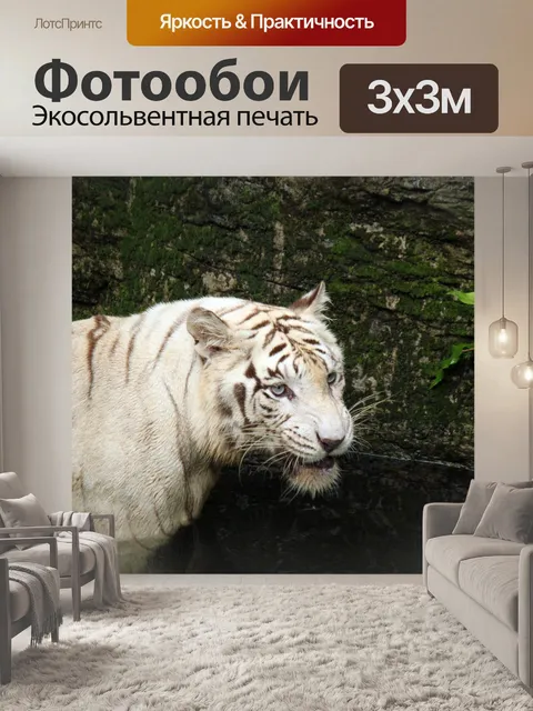 Фотообои Белый тигр на воде