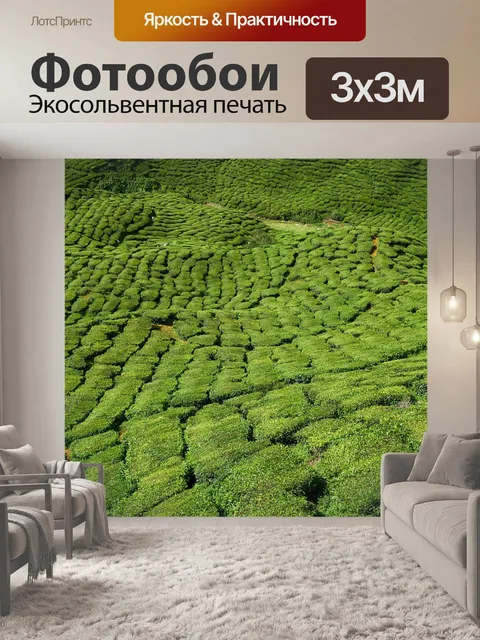 Фотообои Чай