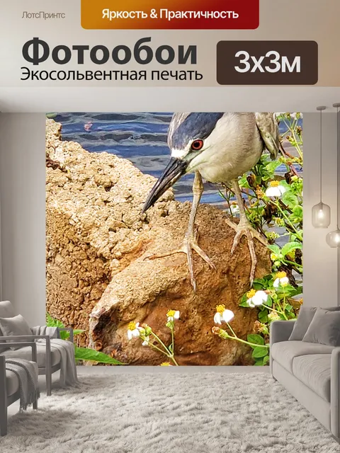 Фотообои Ночная Цапля