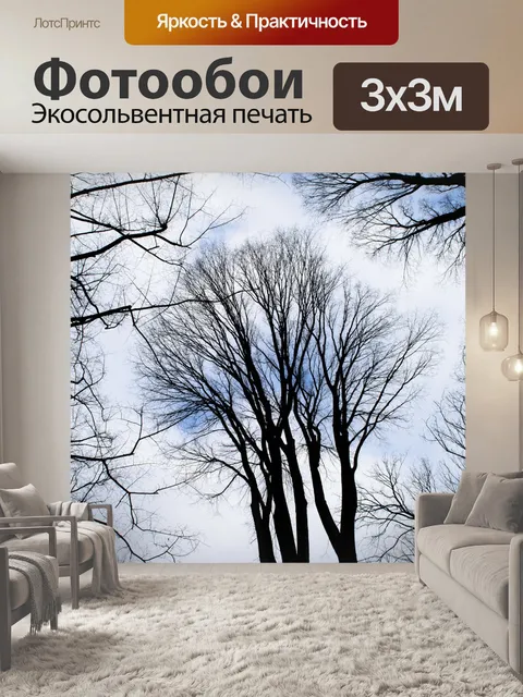 Фотообои Небо