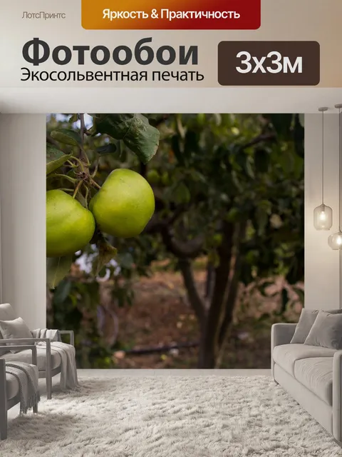 Фотообои Яблоня