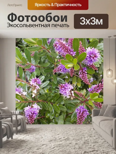 Фотообои Цветущий кустарник