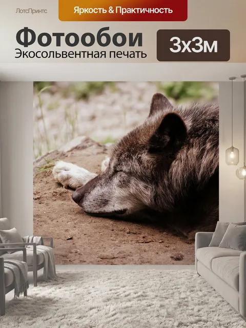 Фотообои Волк
