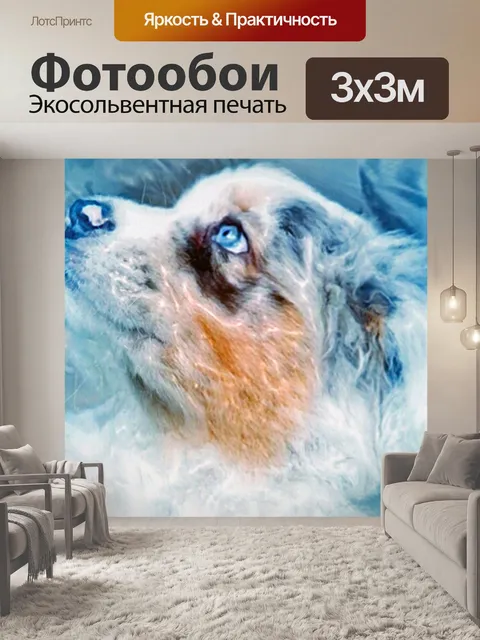 Фотообои Шелти