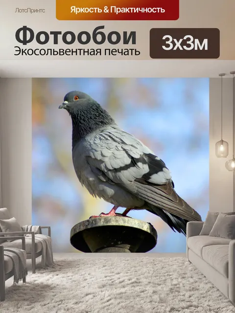 Фотообои Палома