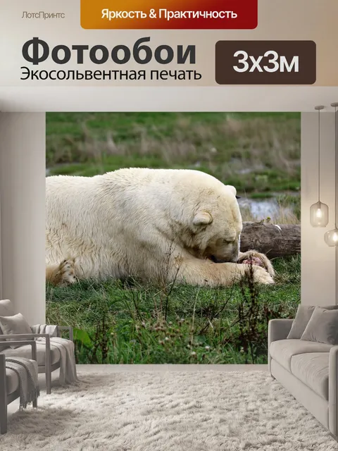 Фотообои Полярный медведь