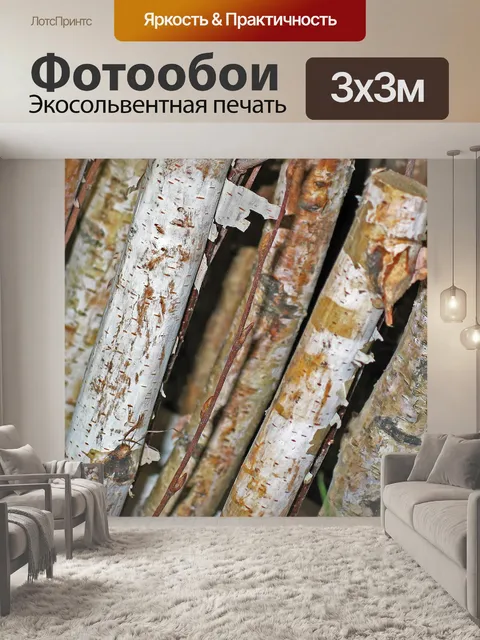 Фотообои Березовые ветки