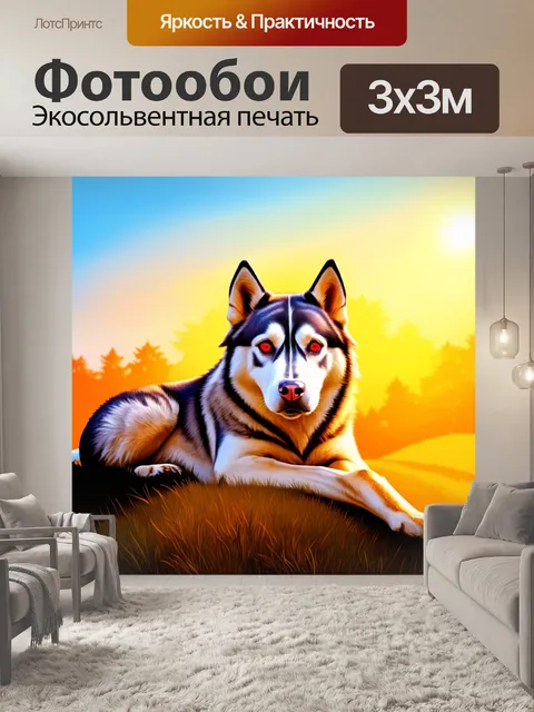 Фотообои сибирский хаски, лежащий на вершине холма в ярком вечернем свете, его шерсть переливается оттенками рыжего и…