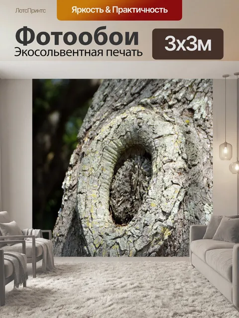 Фотообои Live Oak Tree