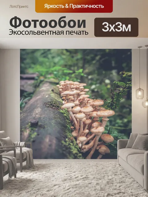 Фотообои Грибы