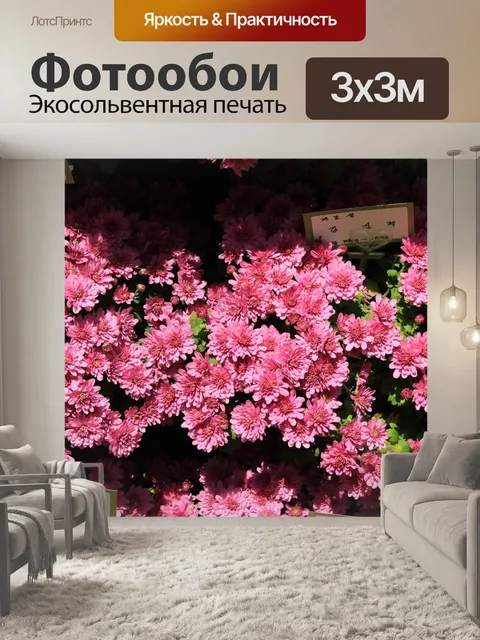Фотообои Хризантема