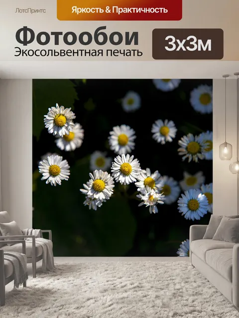 Фотообои Цветы