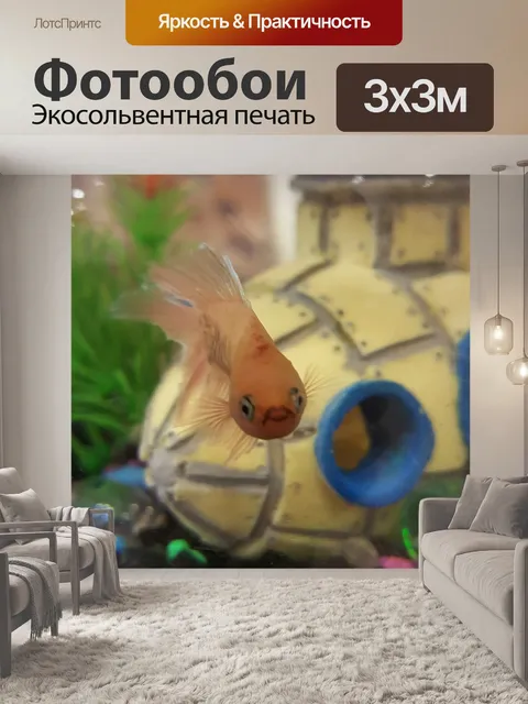 Фотообои Рыбы