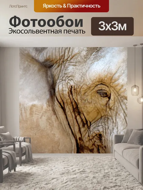 Фотообои Живопись глаз слона