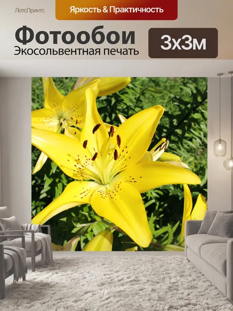 Фотообои Желтая лилия