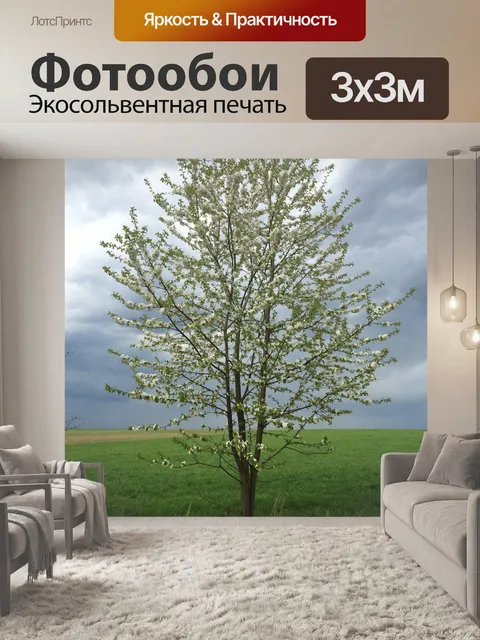 Фотообои Дерево