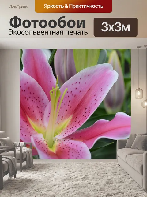 Фотообои Цветы