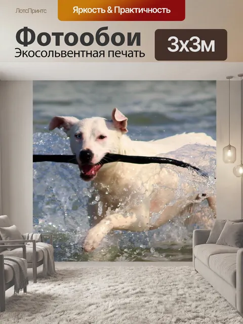 Фотообои Собака