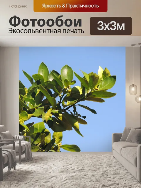 Фотообои Лимонное дерево