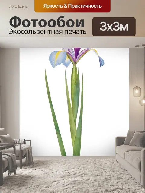 Фотообои Винтажный клипарт цветок ириса