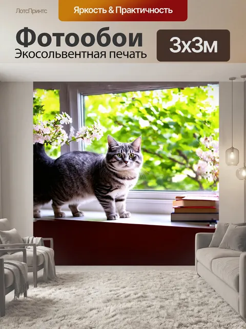 Фотообои описание: величественная серо-белая кошка, стоящая на подоконнике, высматривая за окном кошачьим взглядом