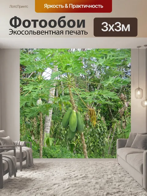 Фотообои Папайя