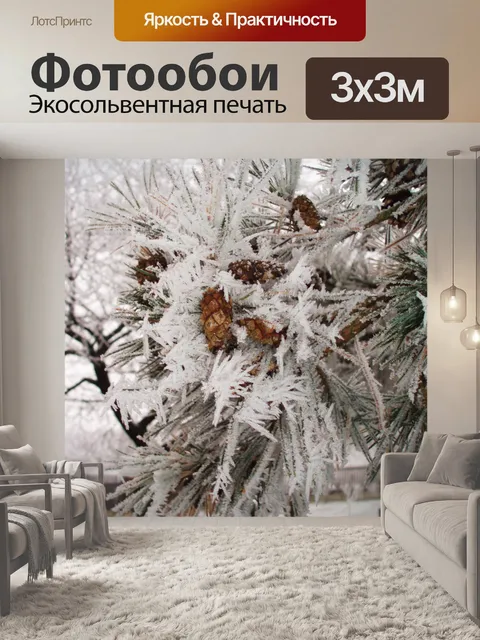 Фотообои Конусов на замороженных веточка