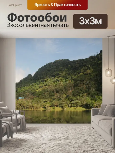 Фотообои Лес