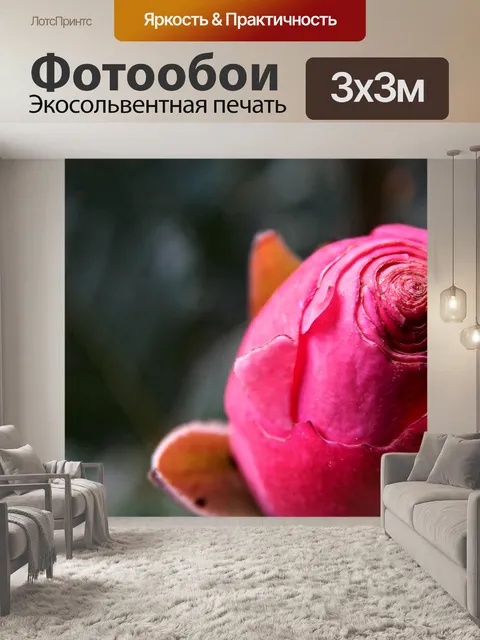 Фотообои Розы