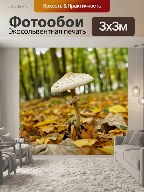 Фотообои Гриб