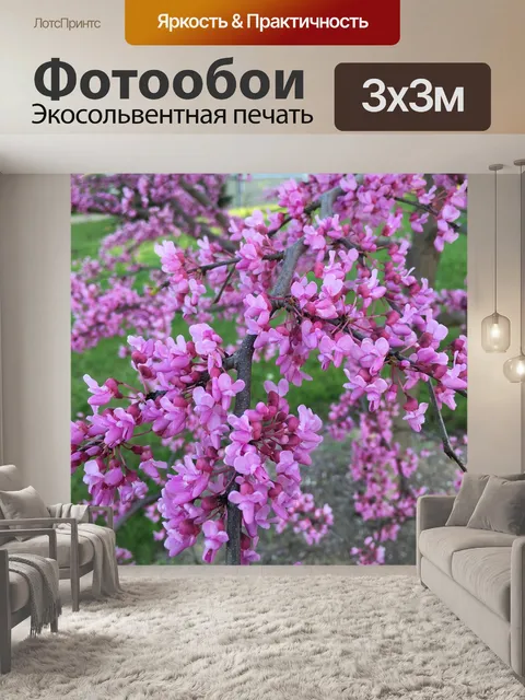 Фотообои Редбад