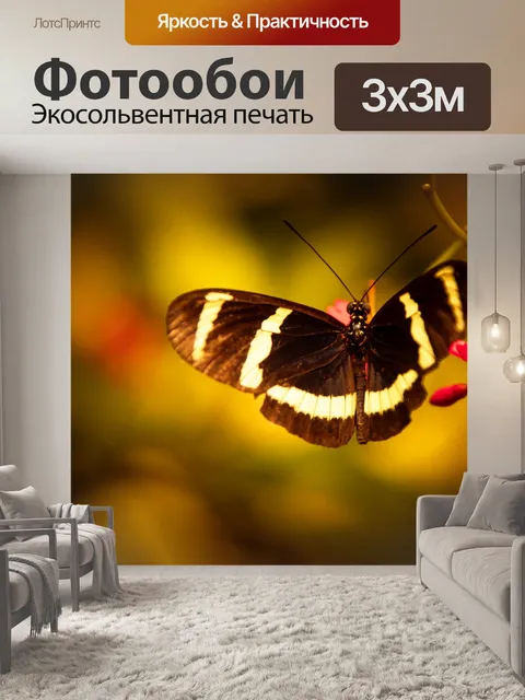 Фотообои Тропическая бабочка
