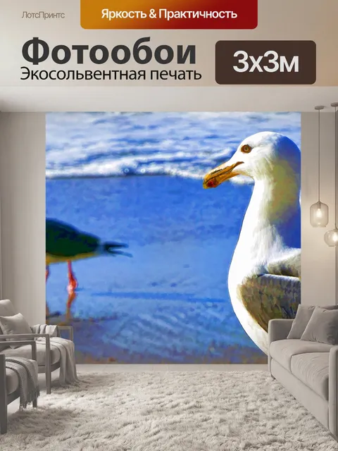 Фотообои Морские чайки