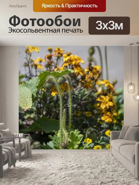Фотообои бутоны растений