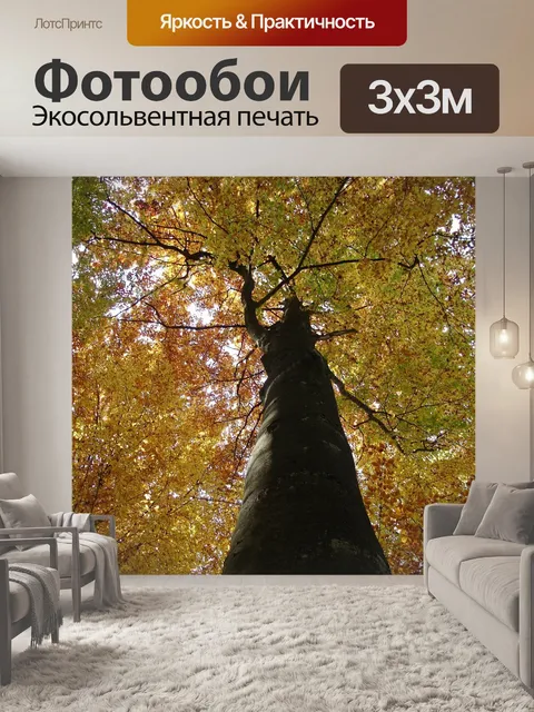 Фотообои Дерево