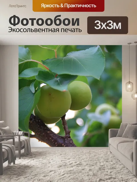 Фотообои зеленые абрикосы под листьями