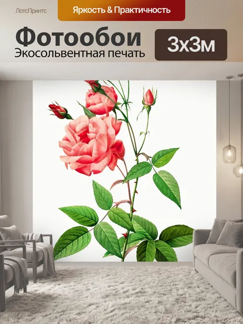 Фотообои Нарисованный цветок розы