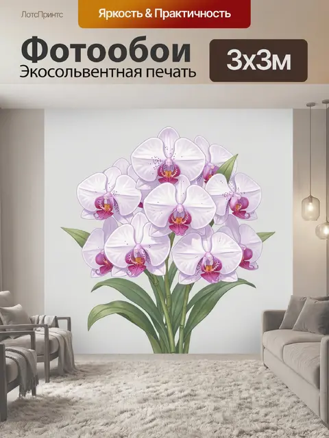 Фотообои Белые орхидеи на светлом фоне