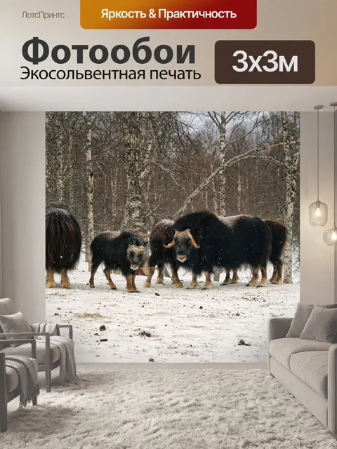 Фотообои Полярный парк