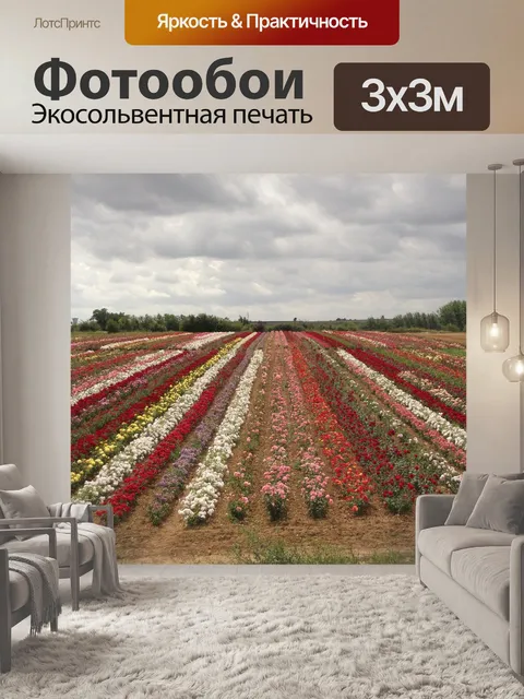 Фотообои Поля