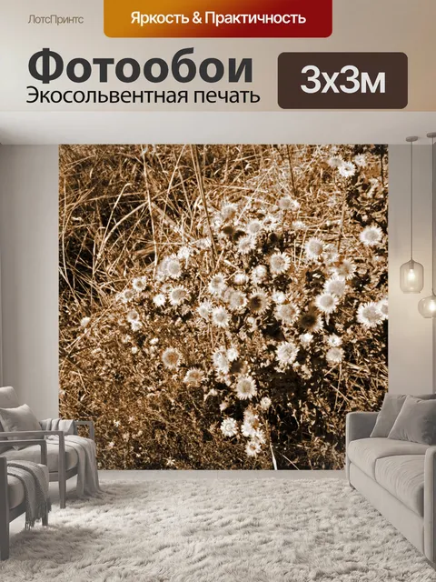 Фотообои фото сепия сухих полевых цветов
