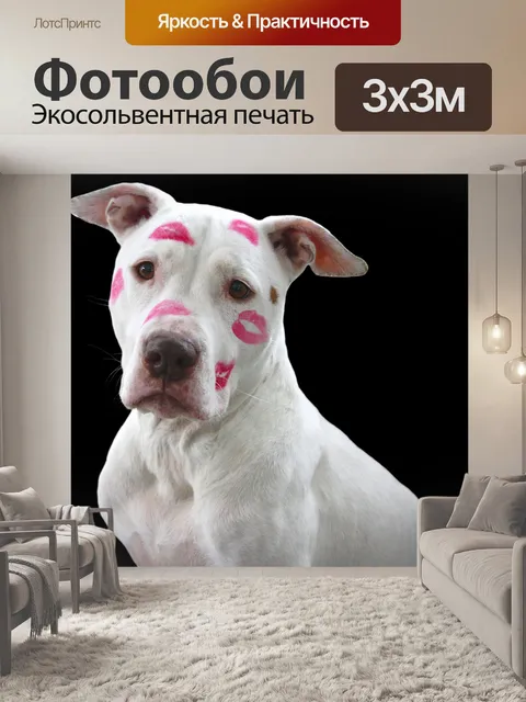 Фотообои Яма бык