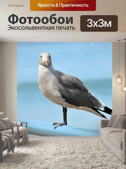 Фотообои Чайка на пляже