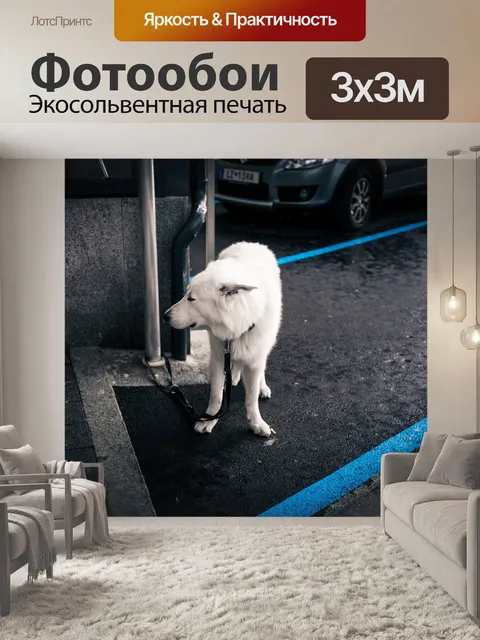 Фотообои Собака