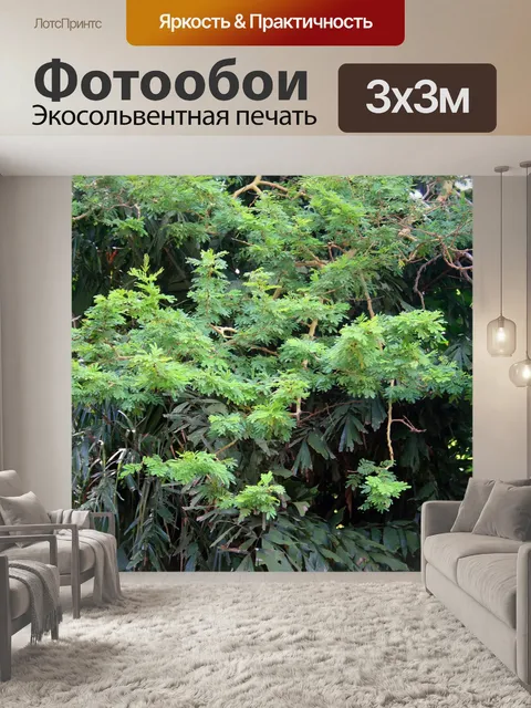 Фотообои ярко-зеленая листва